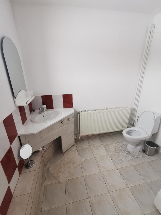 Casa De Oaspeti Wallendorf Bistrita Unirea מראה חיצוני תמונה