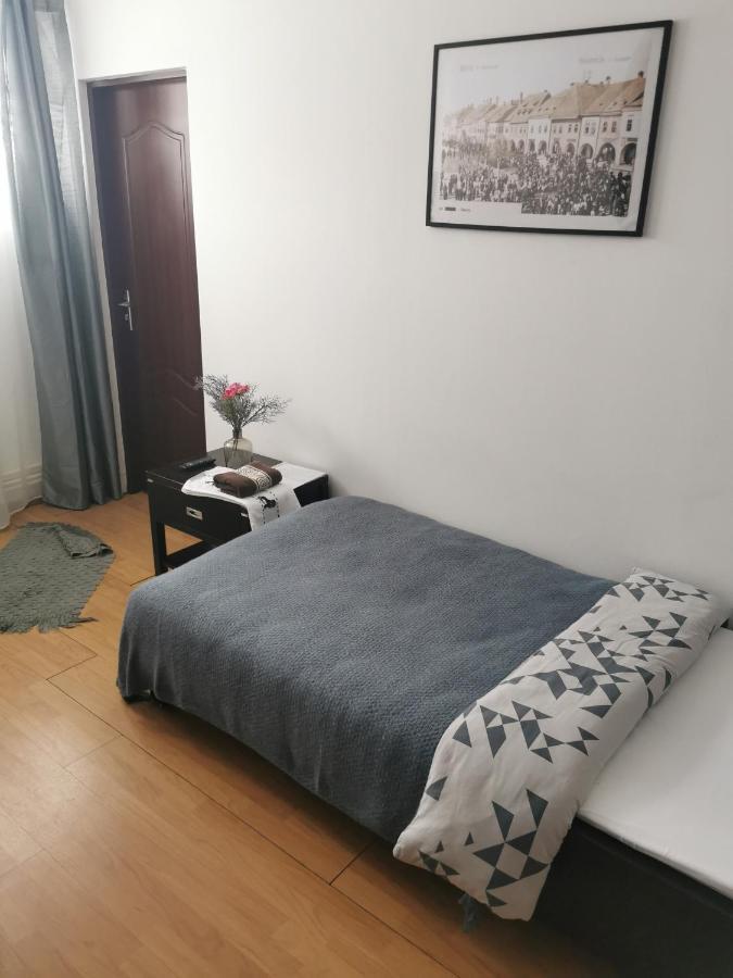 Casa De Oaspeti Wallendorf Bistrita Unirea מראה חיצוני תמונה